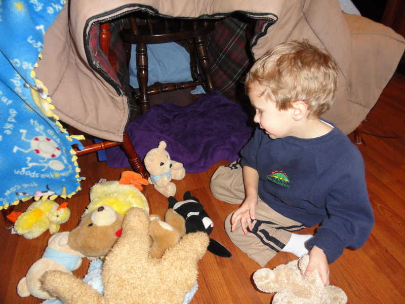 Andrew plays with his bears in a blanket den. 