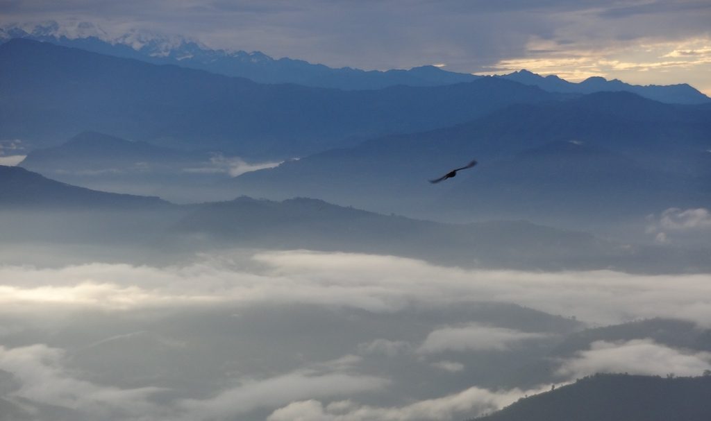 A soaring bird flies high above the mountains and valleys.