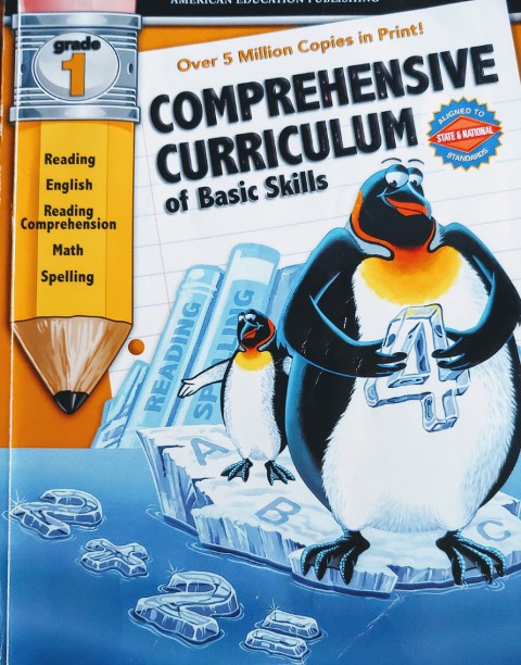 I used the Comprehensive Curriculum to start us out on our math fluency game plan.