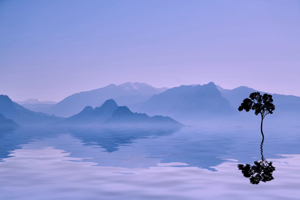 A single tree and mountains reflected on water.
Caregivers need to recharge their own batteries after  the dreaded meltdown.