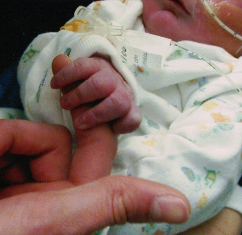 Infant's small hand holding Mommy's finger