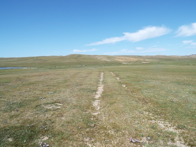 Many roads in Mongolia are trails.