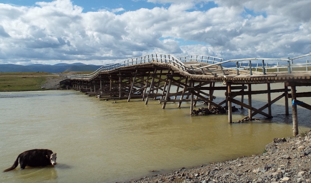 Encounters on the steppe: an old wood bridge in Mongolia.
