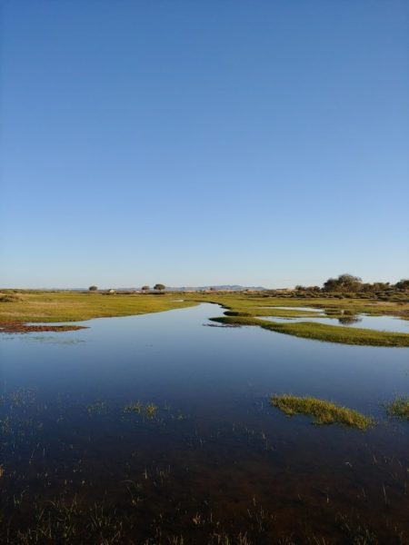 The wetlands of the Khogno Khan, Mongolia