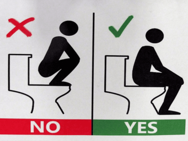 Directions for using a western style toilet