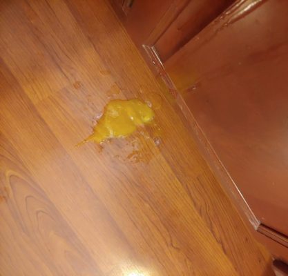 Splattered egg on the floor