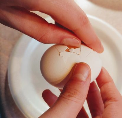 Breaking an egg open to check out the anatomy of the eggshell.