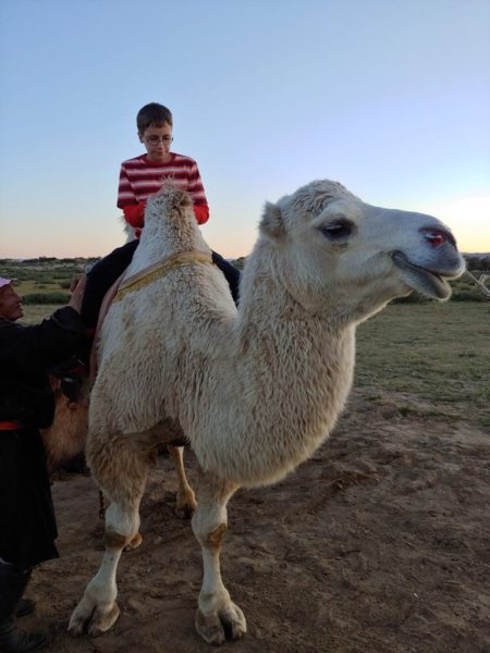 Riding a camel in the Khogno Khan National Park