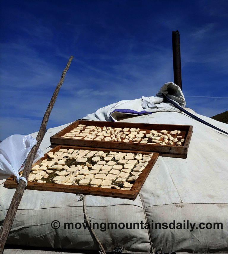 Drying yogurt chips, or Aaruul, Mongolia