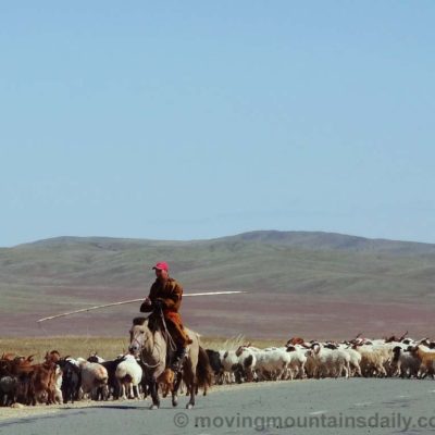 The Spirit of the Mongolian Horse
