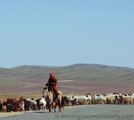 Nomadic herder in Mongolia