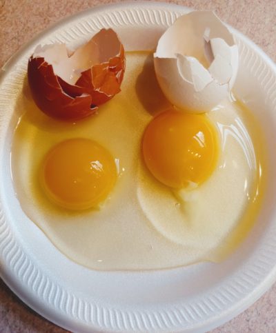 Raw egg with brown and white shell