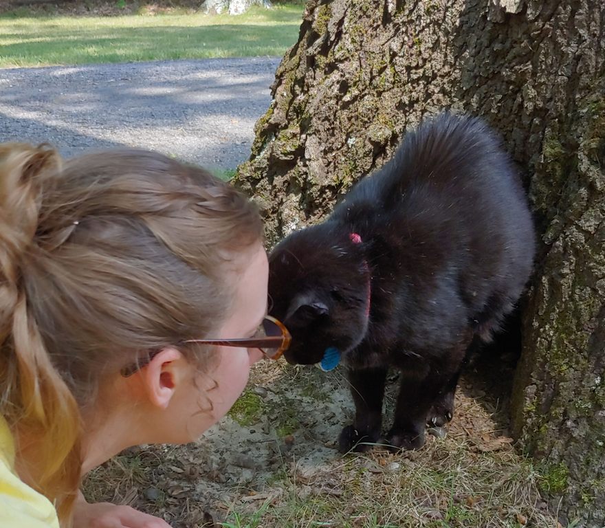 Girl and cat