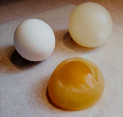 osmosis egg