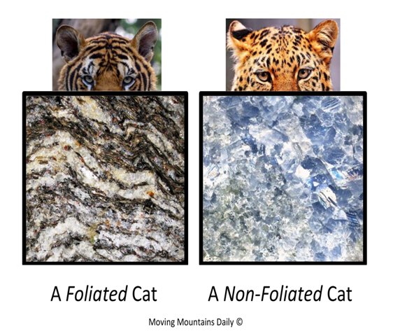 Foliated and Non-Foliated Examples of Metamorphic Rocks
