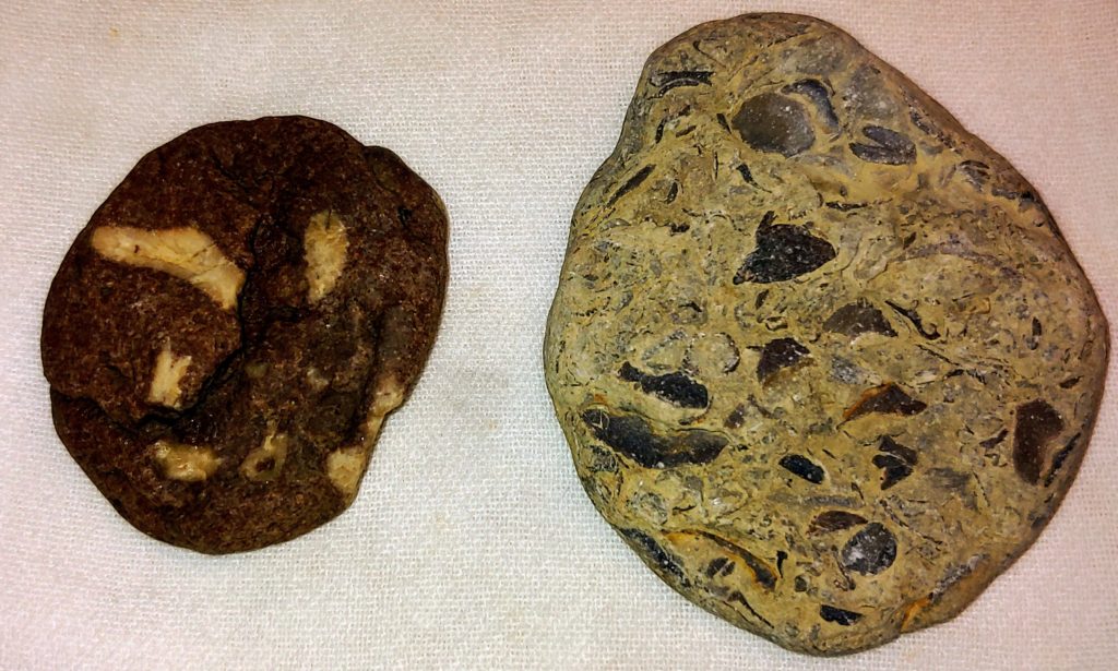 Rocks that look like cookies