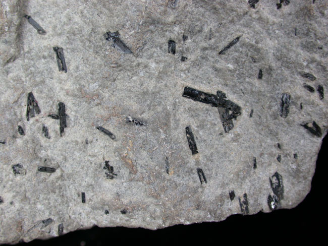 Hornblende in Granite