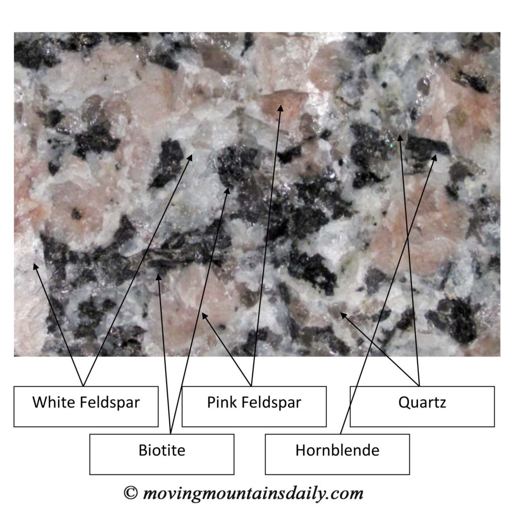 The felsic and mafic minerals in granite