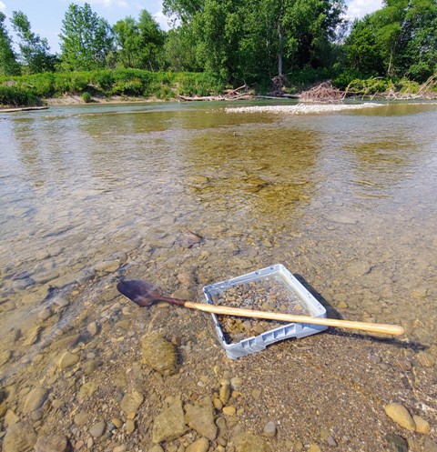 Large rock sifter and shovel in creek bed.