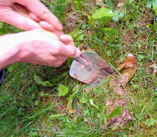 Digging for Treasure