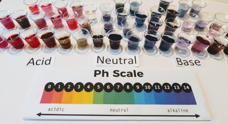 pH Scale and substances
