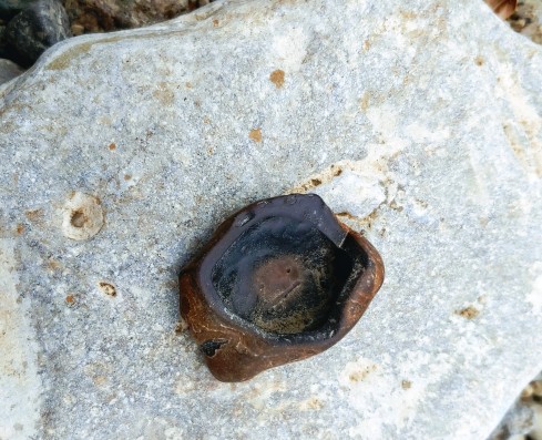 Indian Paint Pot found in SE Indiana