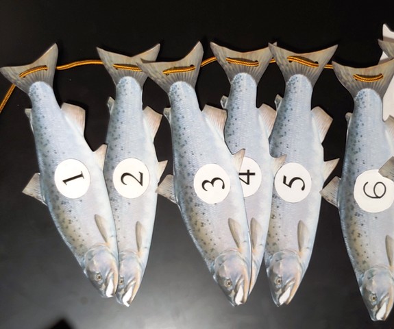 Preschool activity laminated fish for counting and stringing in order