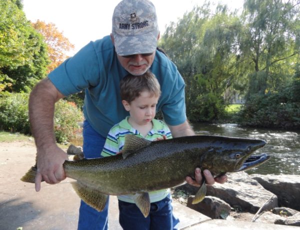 Freedom of Homeschooling! Learning about salmon.