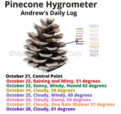Pinecone Hygrometer Daily Log