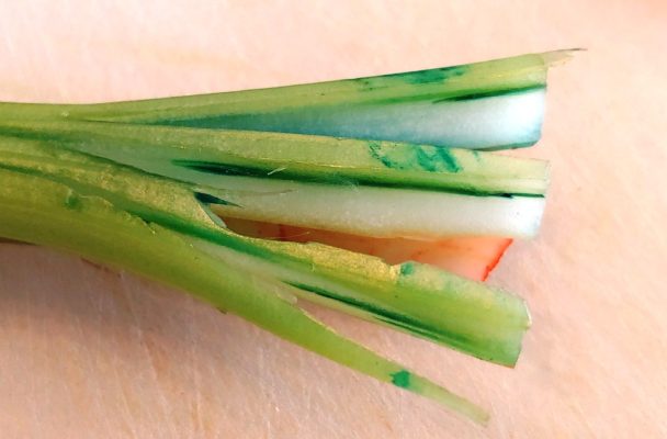 Celery Dissection