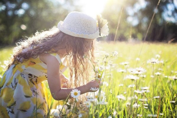 A child observing flowers