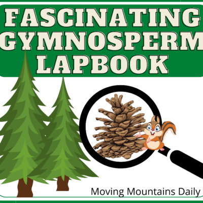 Gymnosperm Lapbook